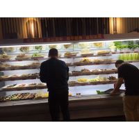 唐山水果冷柜图片与适用范围解析 冷冻食品厂设备的中国供应商选择指南