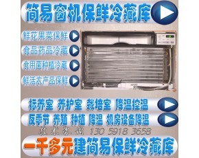 小冷库小保鲜库与简易窗机 食用菌养殖种植空调与标养空调的全面解析